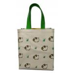 กระเป๋าเคียง