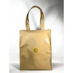 กระเป๋าเคียง