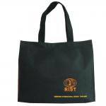 กระเป๋าเคียง