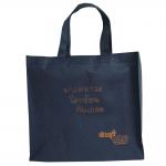 กระเป๋าเคียง