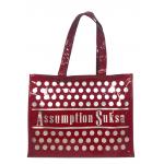 กระเป๋าเคียง