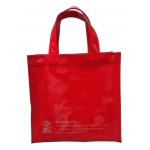 กระเป๋าเคียง