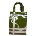 กระเป๋าเคียง