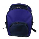 กระเป๋าเป้สะพายหลังอนุบาล