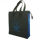 กระเป๋าเคียง