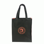 กระเป๋าเคียง