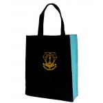 กระเป๋าเคียง