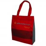 กระเป๋าเคียง