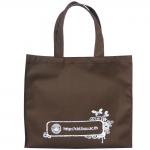 กระเป๋าเคียง