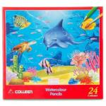 สีไม้ระบายน้ำ Colleen 24สี (ขายยกโหล12กล่อง)