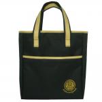 กระเป๋าเคียง