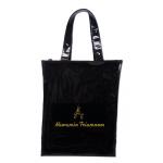 กระเป๋าเคียง