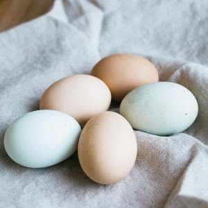 สินค้ารูปไข่