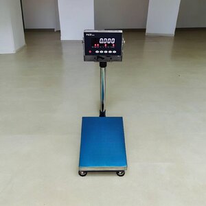 เครื่องชั่งกันน้ำ 100 kg. ค่าละเอียด 10 g. (Stainless steel 304) แท่นชั่ง 30x40 cm.