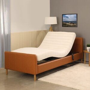 เตียงนอนเพื่อสุขภาพ ปรับไฟฟ้า