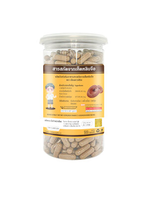 ขมิ้นชัน 500 มิลลิกรัม (เม็ดใหญ่)