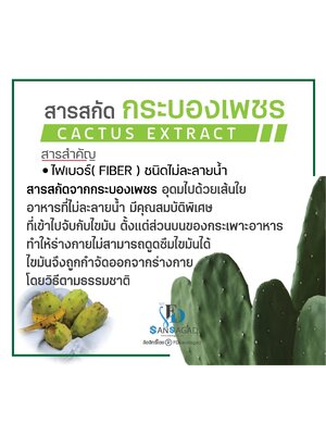 รับผลิตอาหารเสริมช่วยระบบขับถ่าย