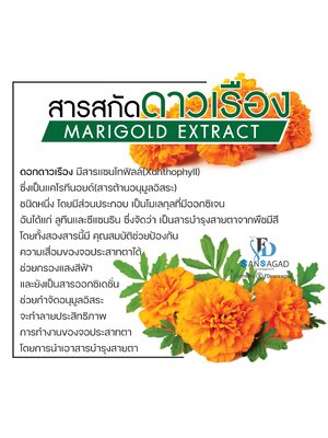 รับผลิตอาหารเสริมบำรุงสายตา