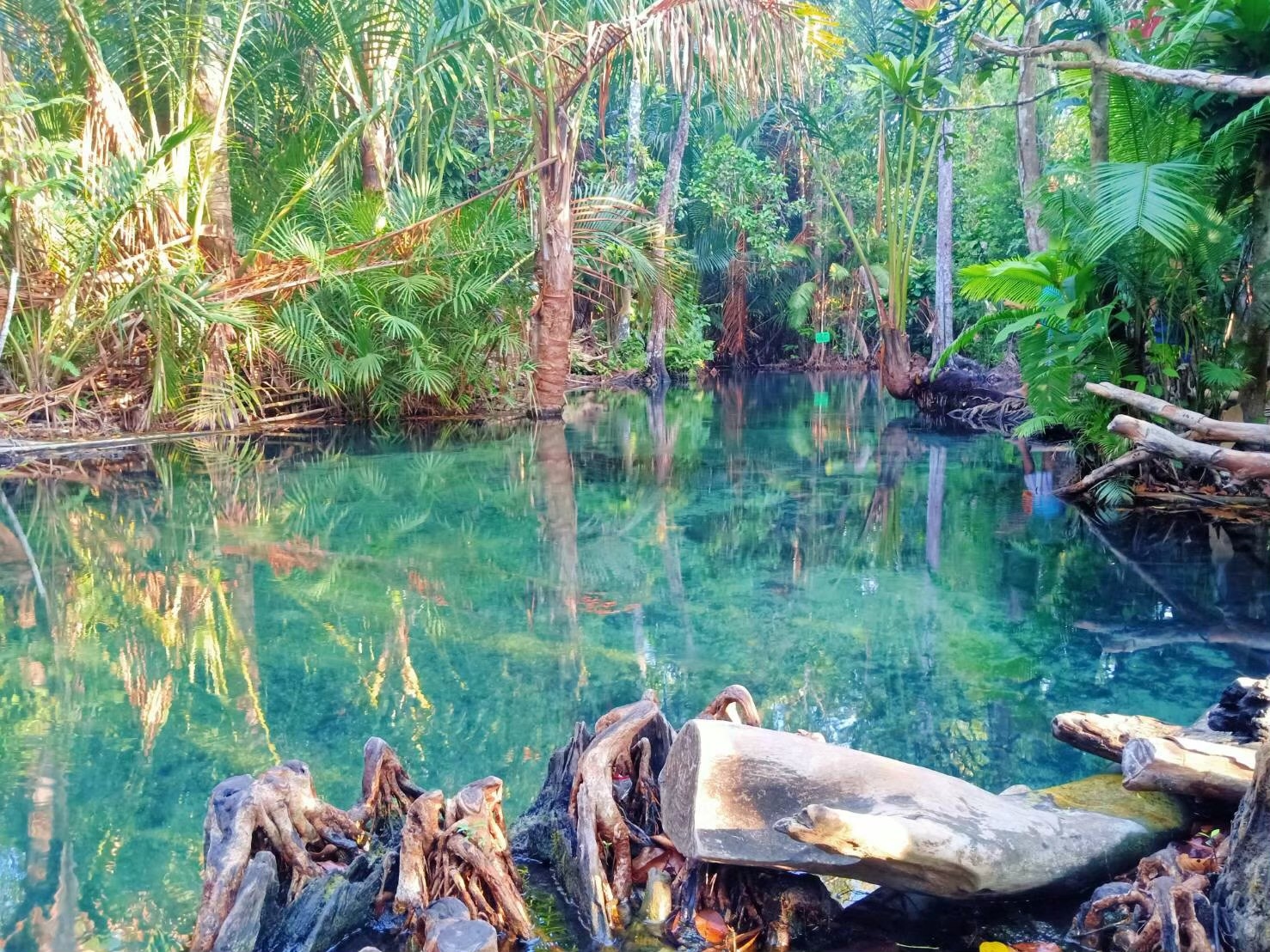 อันดับ 1 เที่ยวกระบี่ คลองหรูด คลองน้ำใส พายเรือคายัค ครึ่งวัน หนองทะเล อ่าวนาง กระบี่