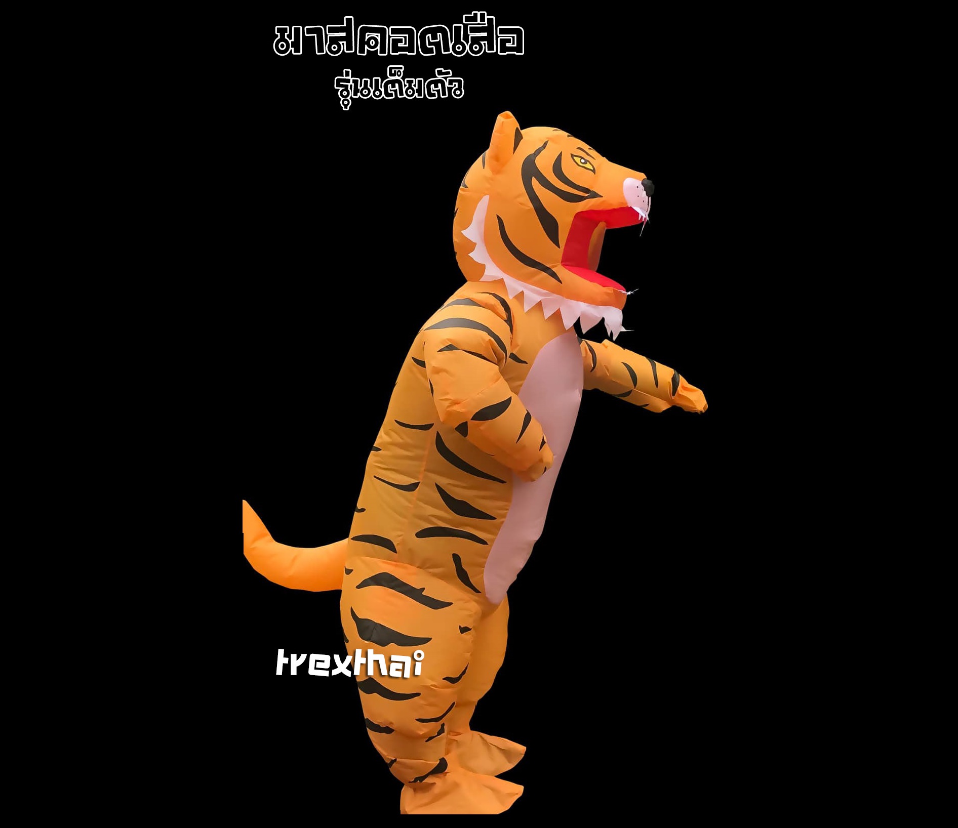 ชุดมาสคอตเสือ ชุดแฟนซีเสือ