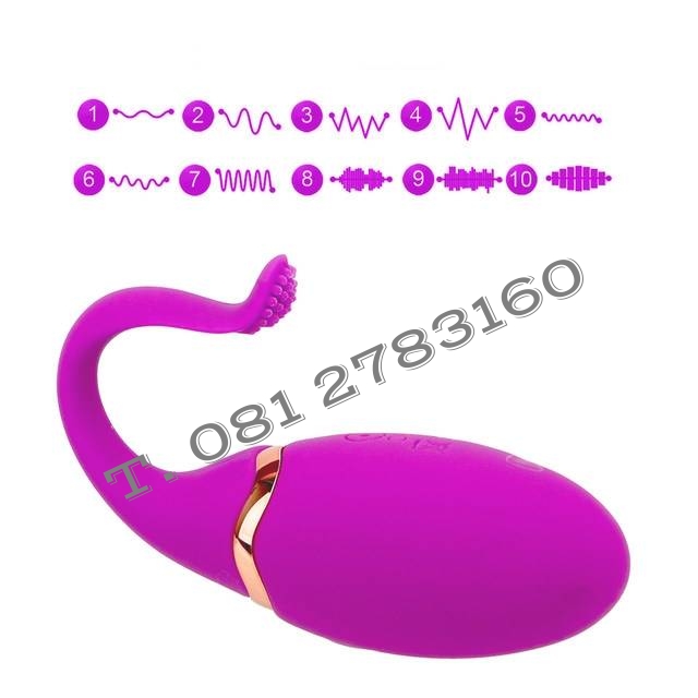 รหัส XM -141 ไข่สั่นไร้สายโลมา