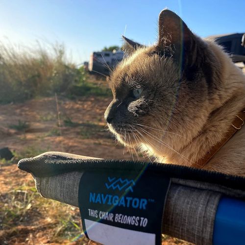 Navigator Dog Bed ที่นอนสำหรับสัตว์เลี้ยง