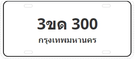 ป้ายประมูล 3ขด 300
