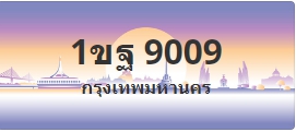 ป้ายประมูล 1ขฐ 9009
