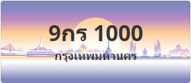 ป้ายประมูล 9กร 1000