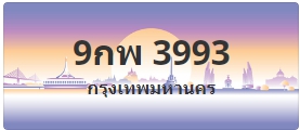 ป้ายประมูล 9กพ 3993