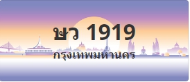 ป้ายประมูล ษว 1919