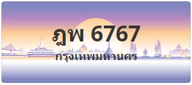 ป้ายประมูล ฎพ 6767