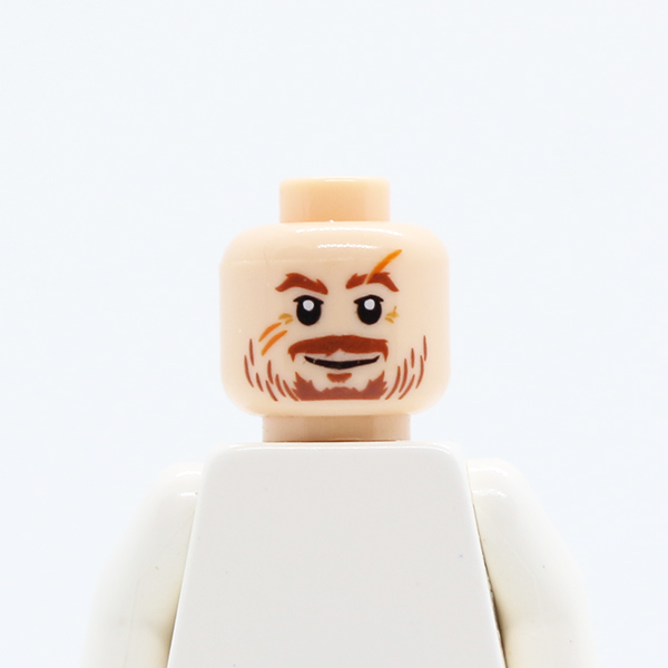 Moustache Brown, Scratches/Scars across Face Pattern (HP Professor Lupin)