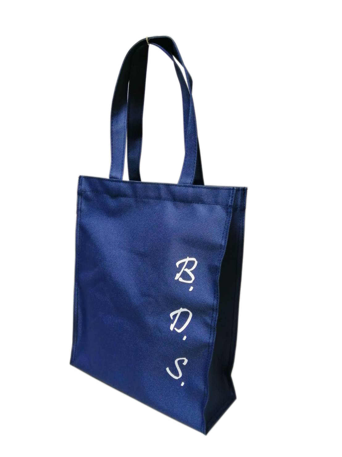 กระเป๋าเคียง