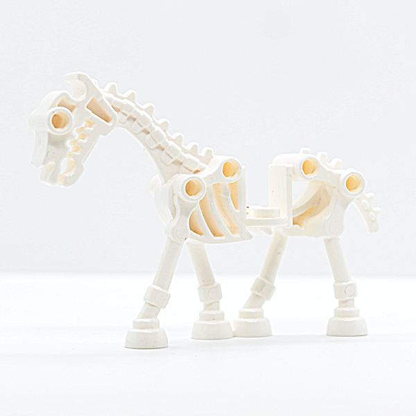 Horse, Skeletal
