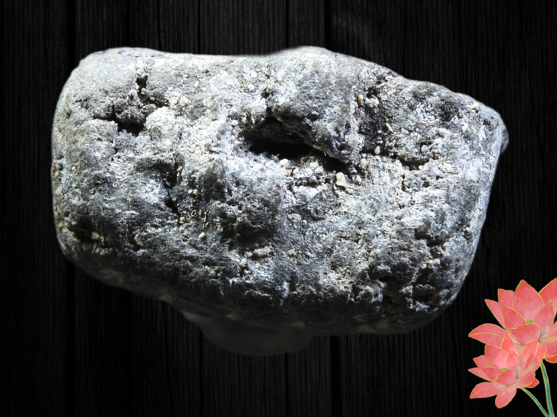 พระหลวงปู่ทวด พิมพ์พระรอด