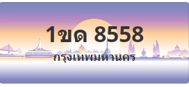 ป้ายประมูล 1ขด 8558