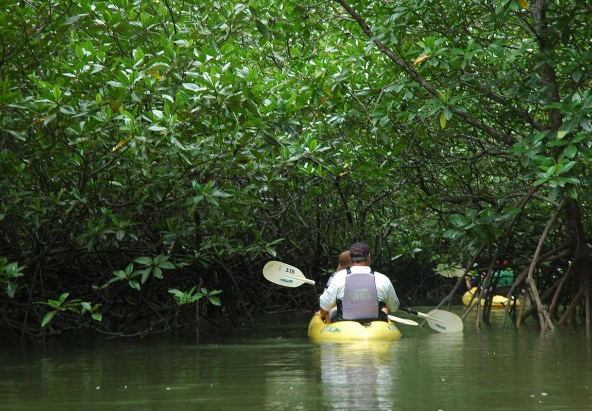 อันดับ 1 เที่ยวกระบี่ พายเรือคายัค ชมภาพเขียนโบราณ ถ้ำผีหัวโต บ้านท่อบ่อ