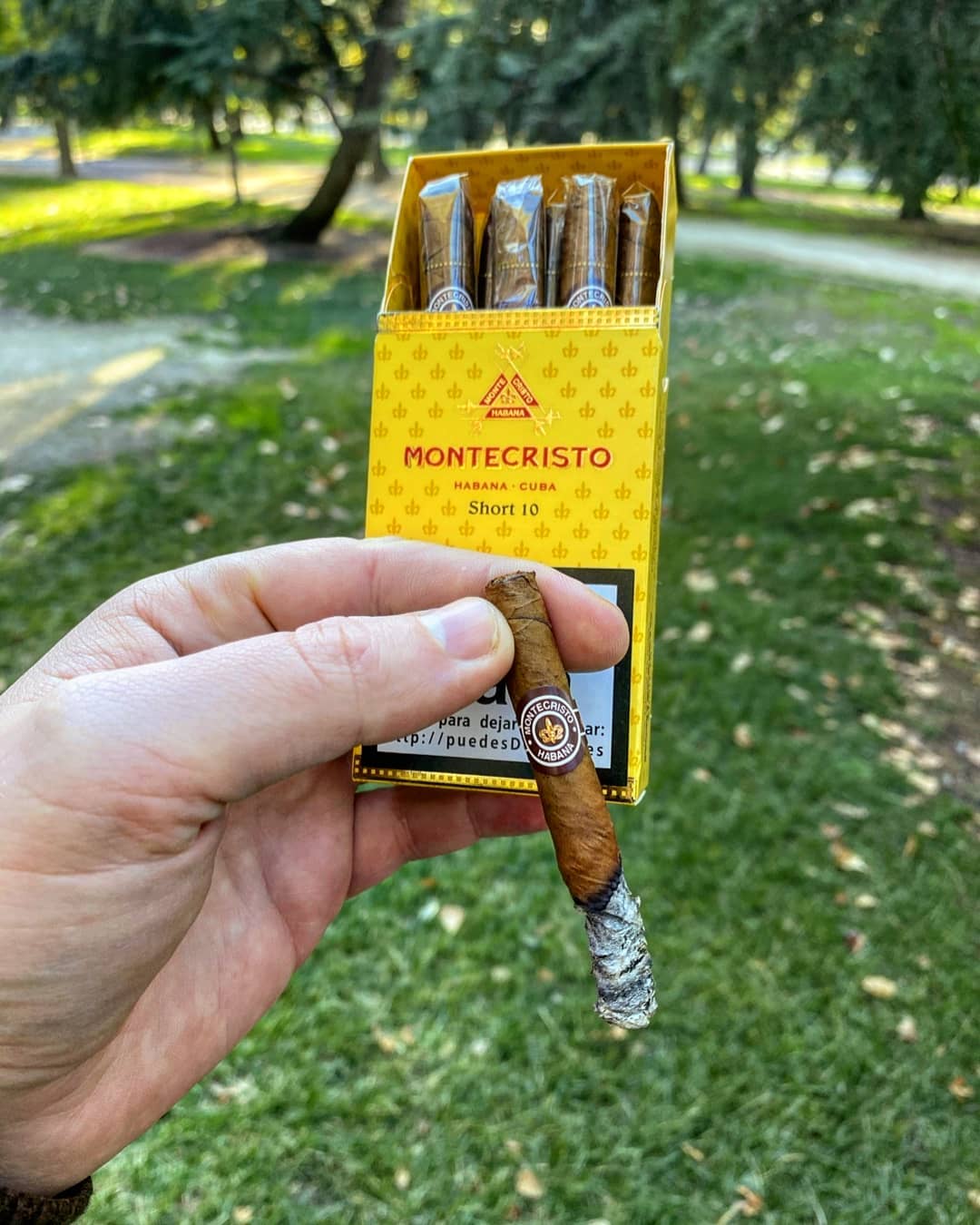 MONTECRISTO 10 Short