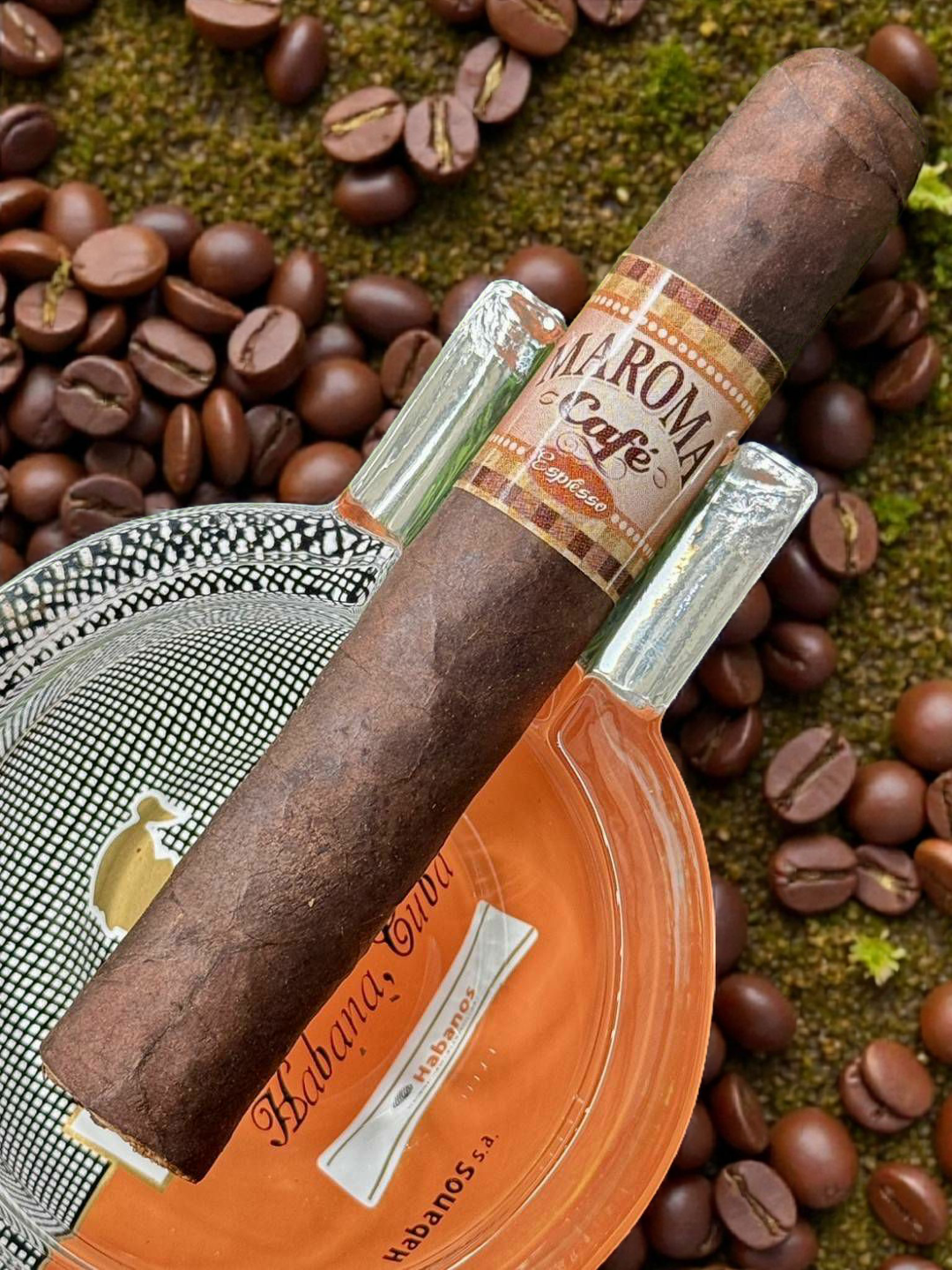 Maroma (กาแฟ)"5x50"