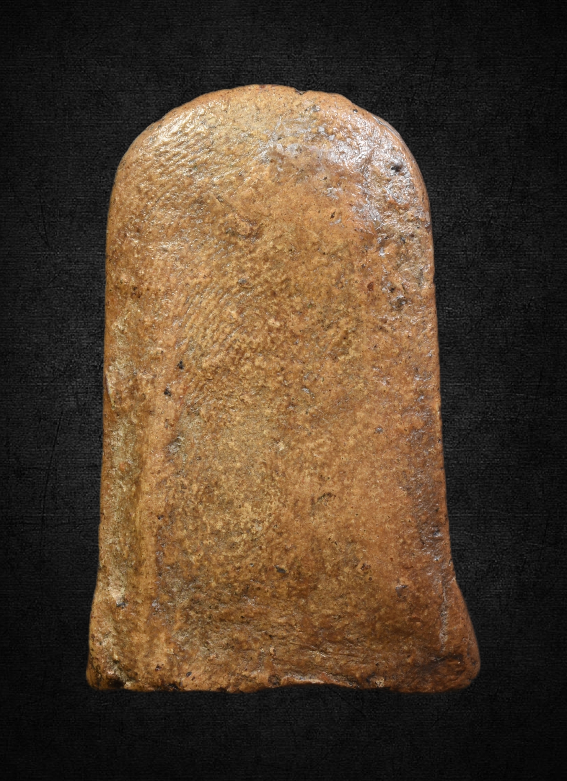 พระยอดขุนพล พระเยา พิมพ์นกปลา