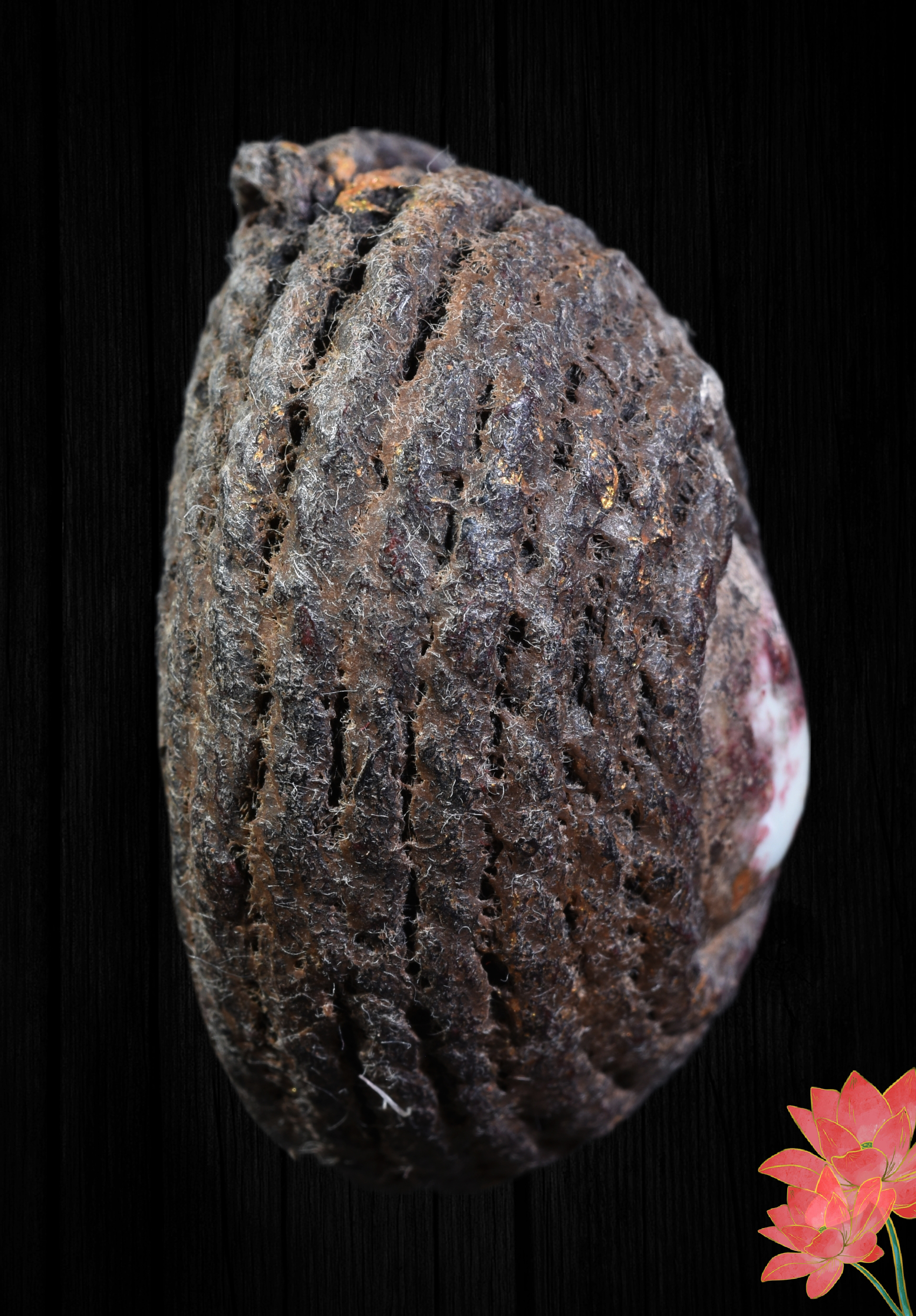 เบี้ยแก้เชือกถัก