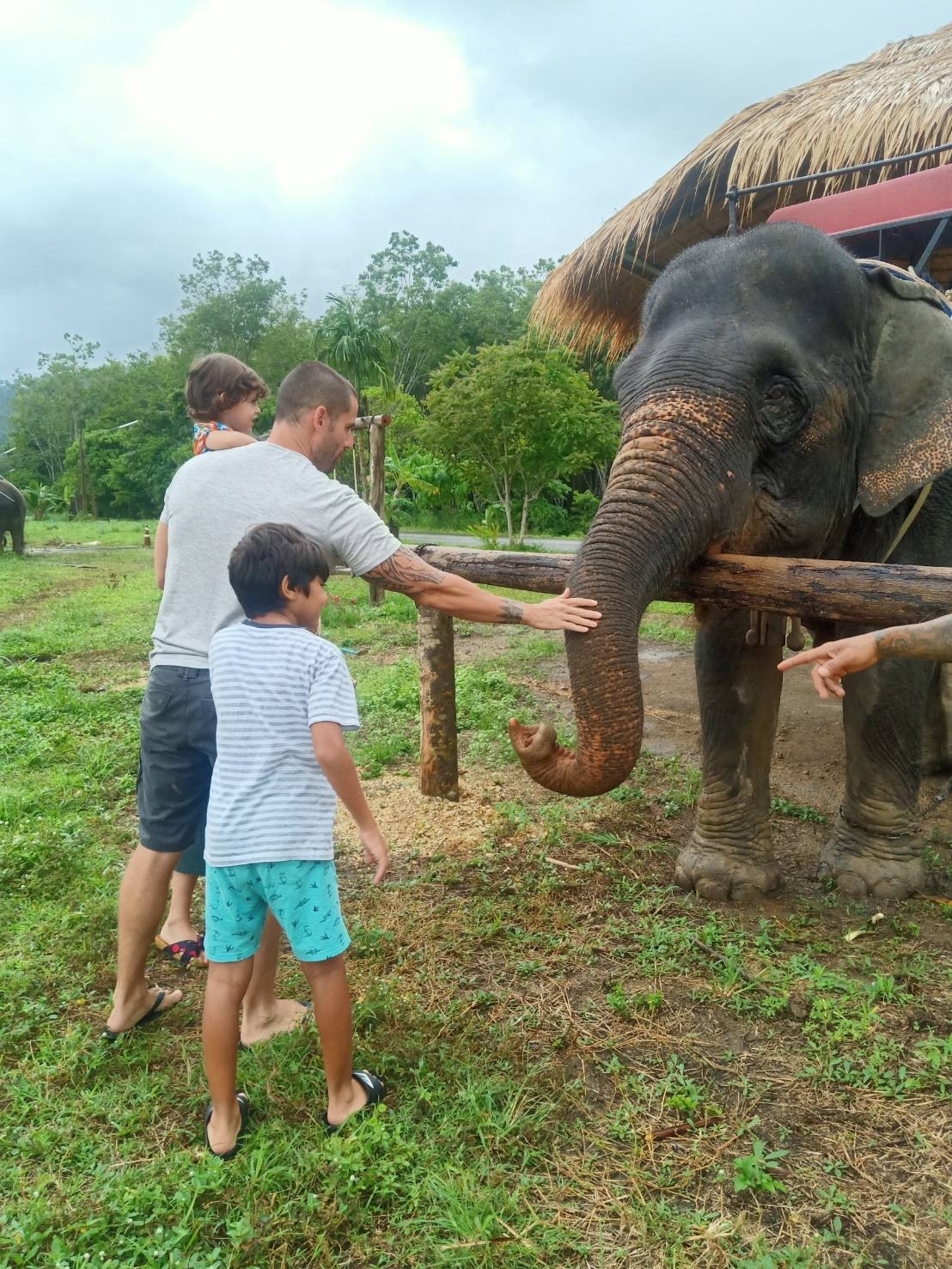 อันดับ 1 ทัวร์ขี่ช้าง กระบี่ ทัวร์นั่งช้างกระบี่