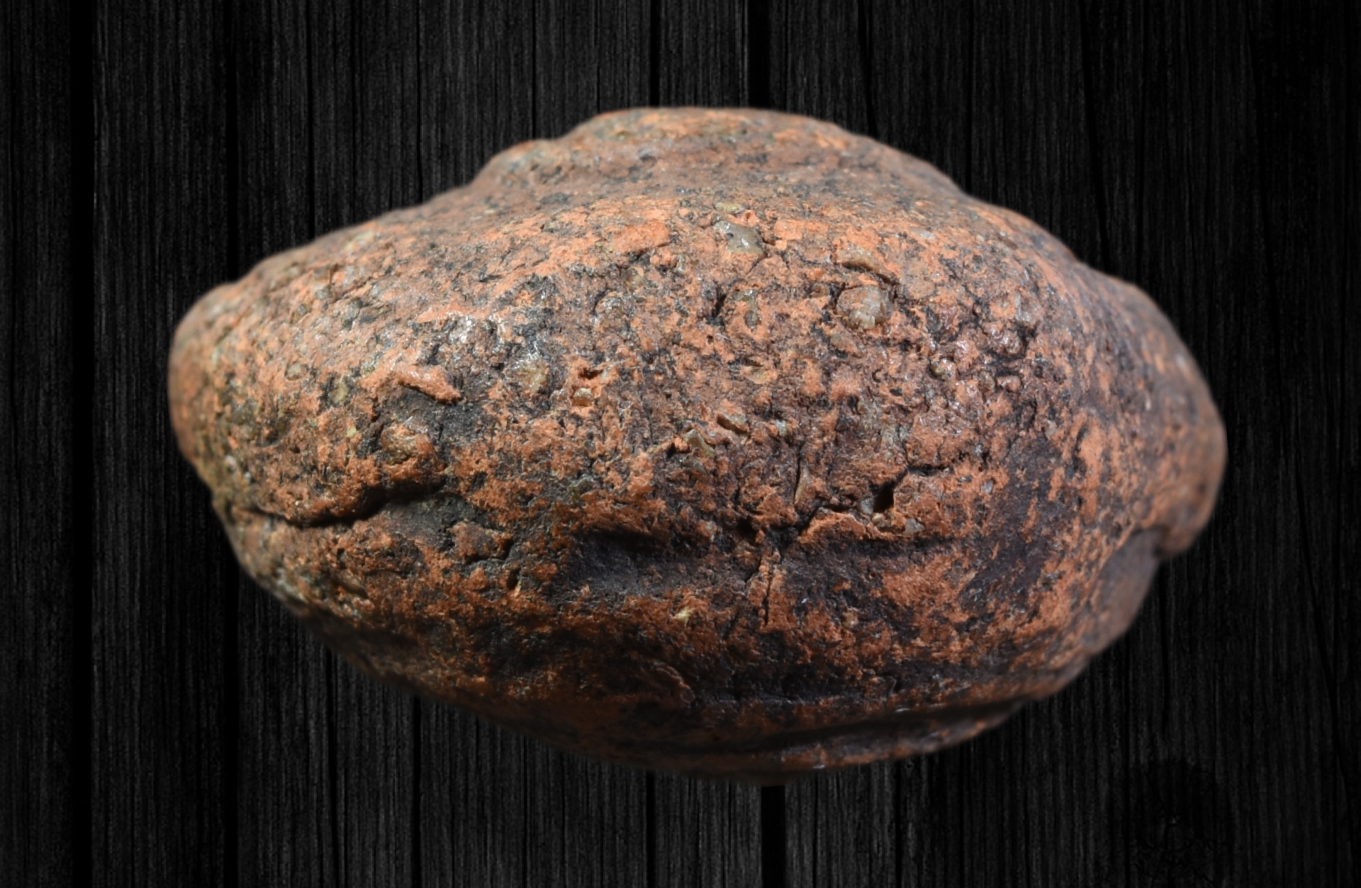 พระจุฬามณี หน้าฤๅษี-หลังนาง