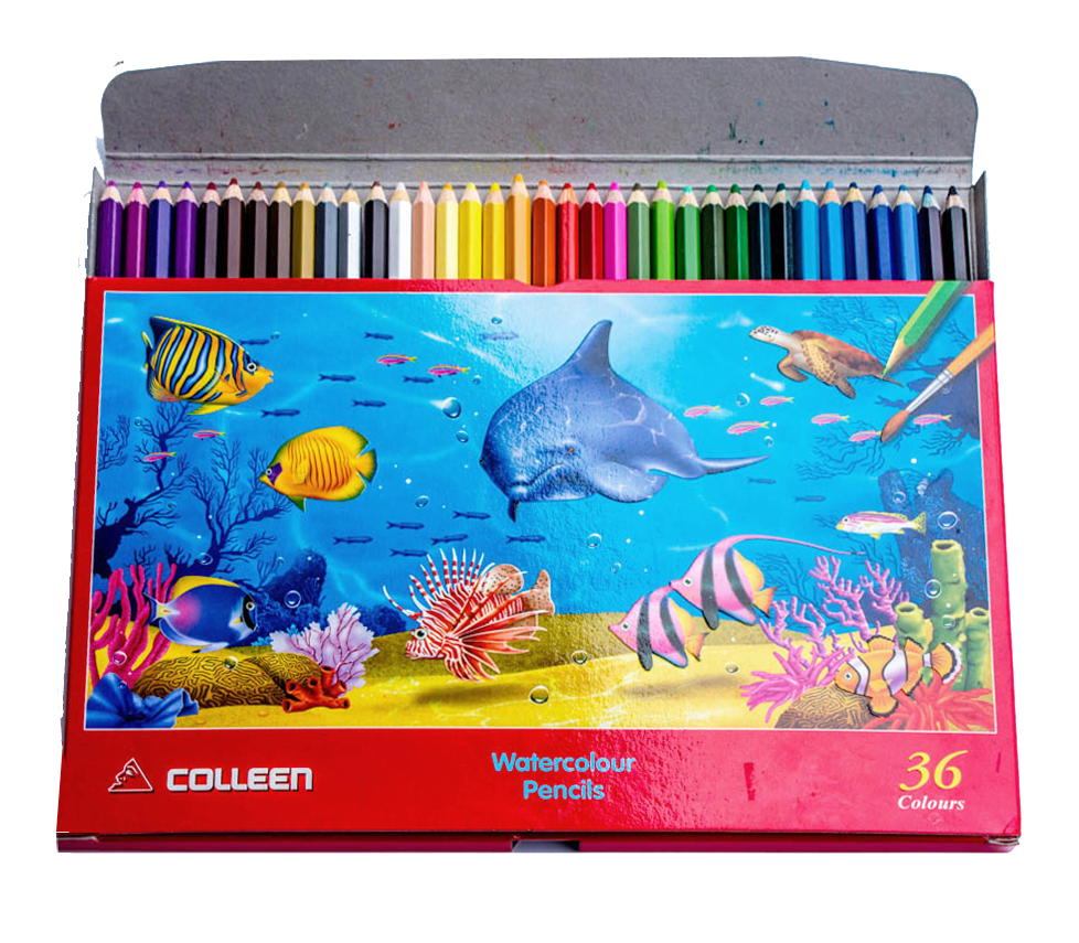 สีไม้ระบายน้ำ Colleen 36สี (ขายยกโหล12กล่อง)