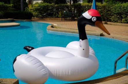 ห่วงยางนกกระเรียน คอดำ Inflatable Black Neck Cran Float