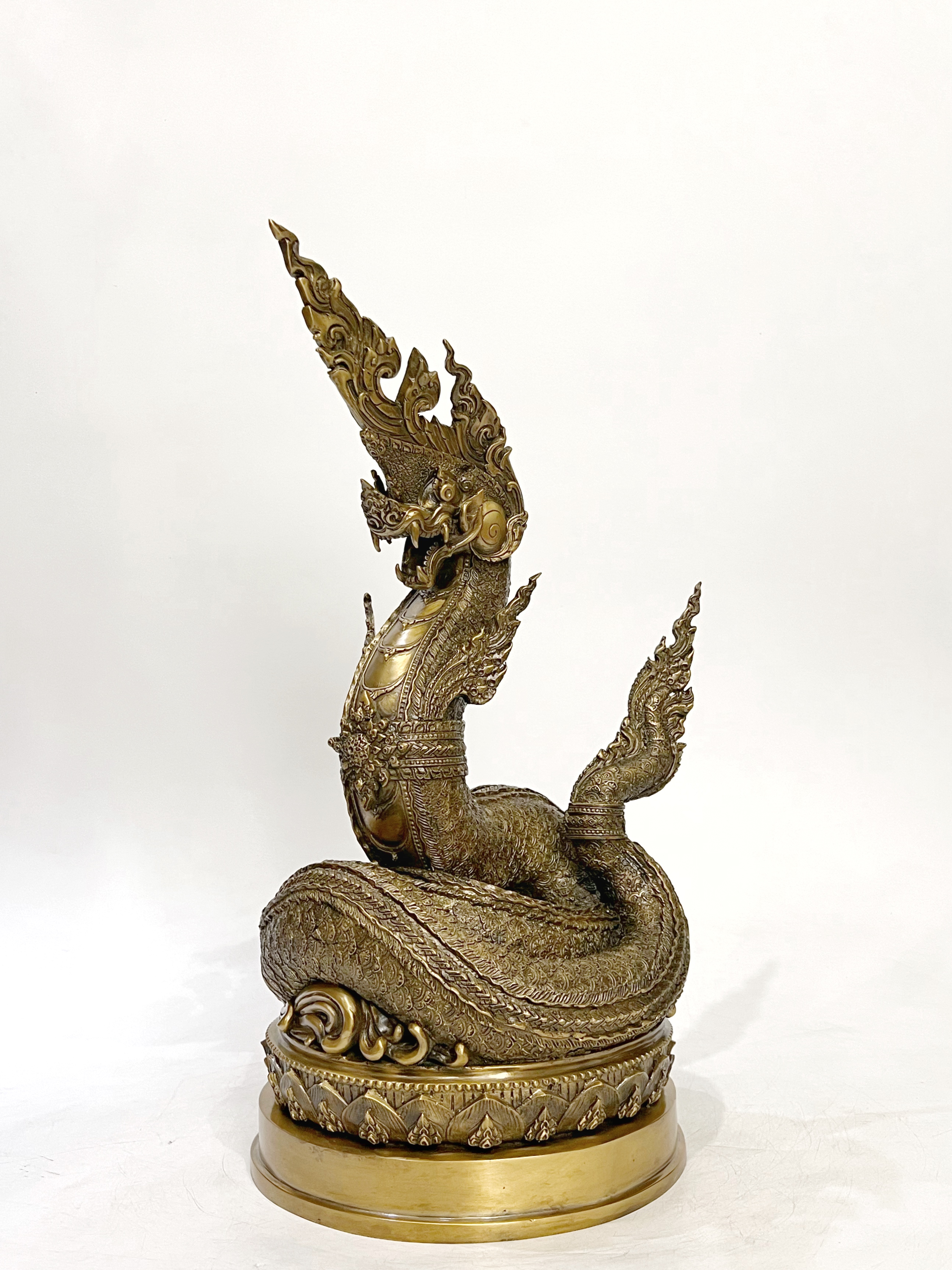 พญานาคราชทรัพย์อนันต์ พญานาค 1 เศียร