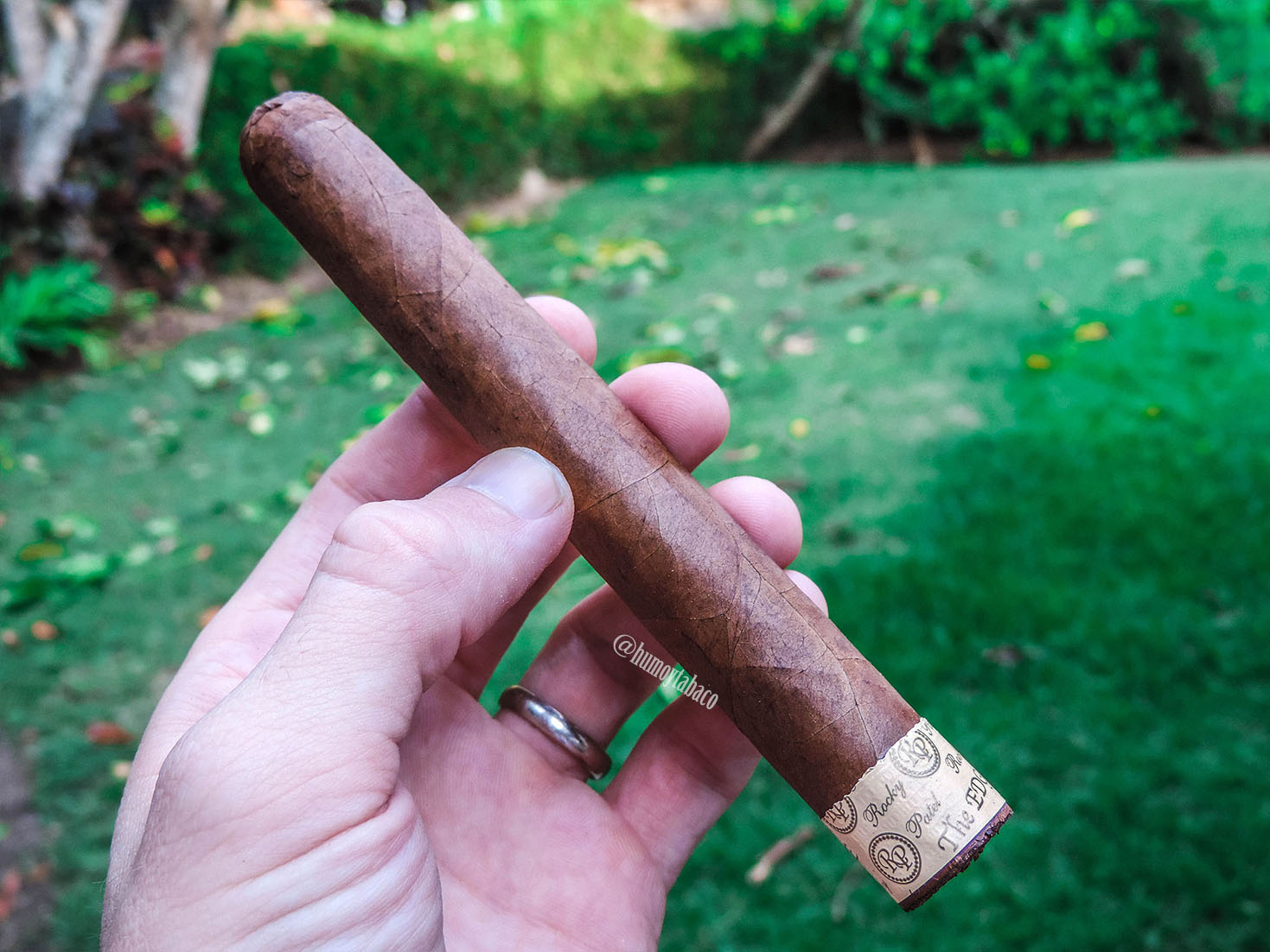Rocky Patel Edge Corojo Fumas Toro