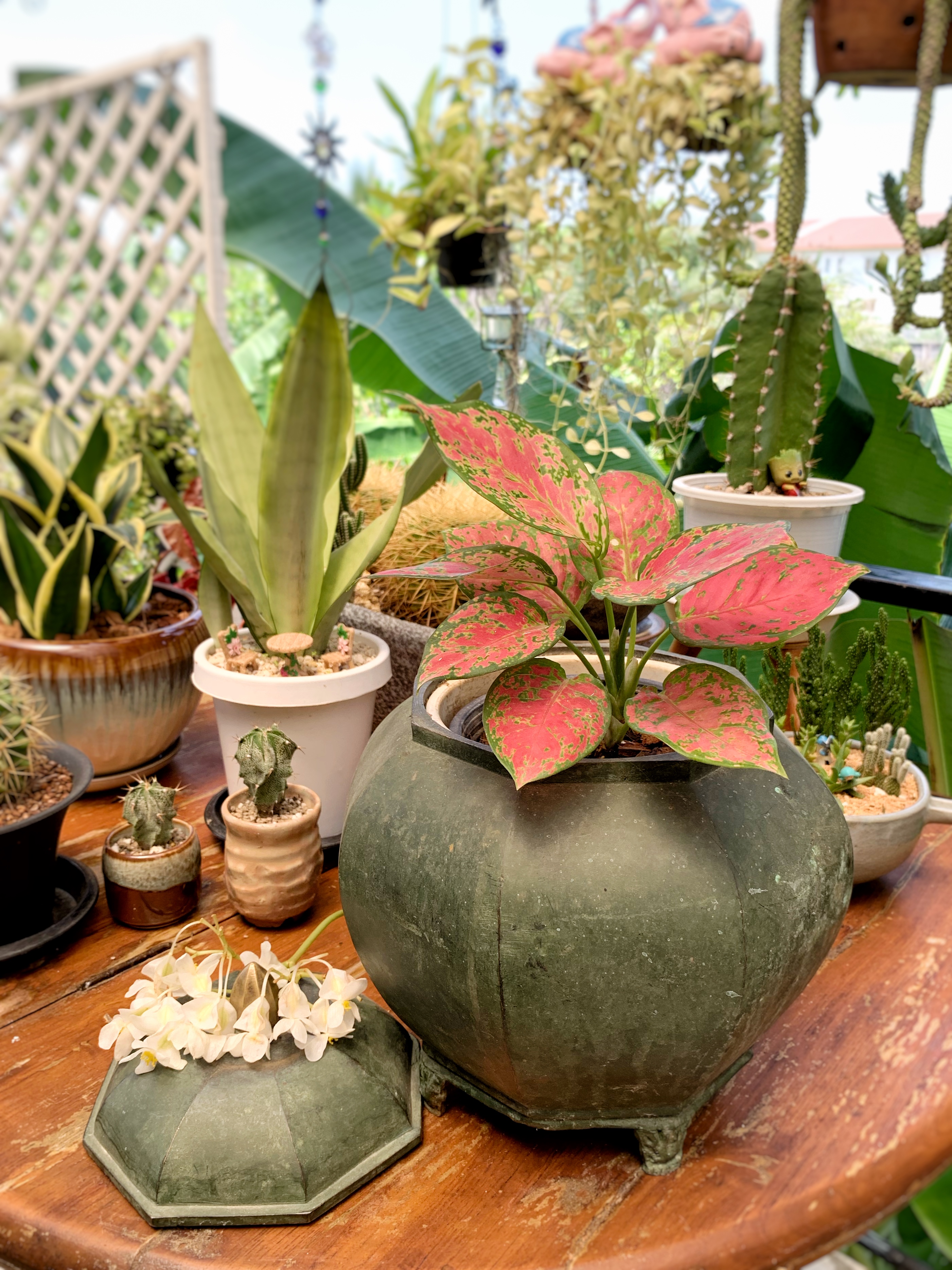 หม้อตุ๋น หม้อเก็บความร้อนโบราณ