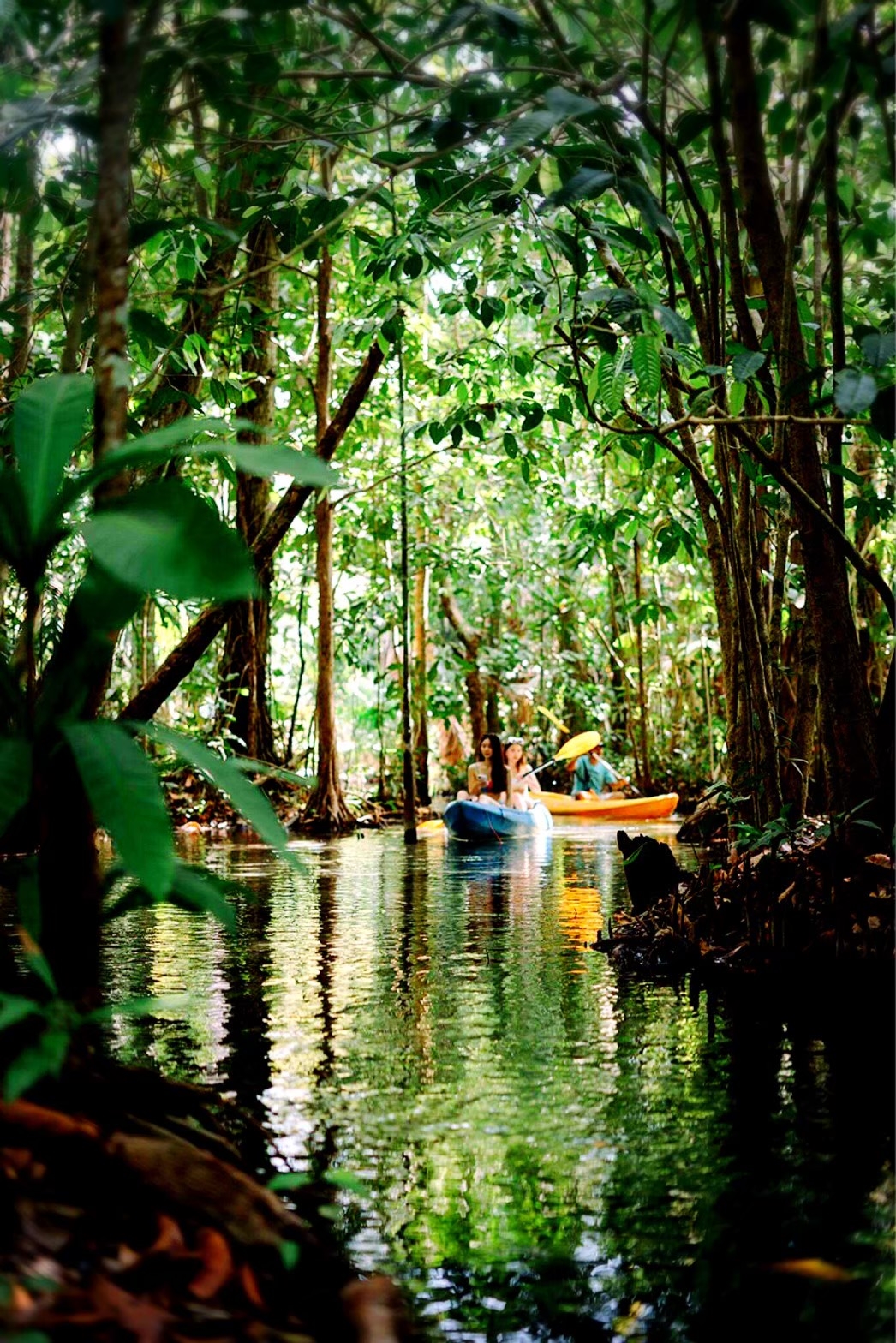 อันดับ 1 เที่ยวกระบี่ คลองหรูด คลองน้ำใส พายเรือคายัค ครึ่งวัน หนองทะเล อ่าวนาง กระบี่